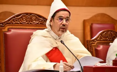 عبد النباوي: محاكم المملكة أصدرت 1001 حكمًا منذ تطبيق قانون العقوبات البديلة