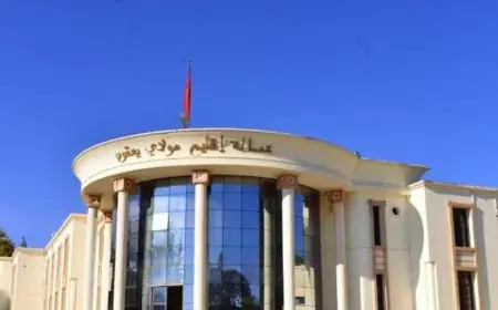 عزل رئيس جماعة مولاي يعقوب و5 أعضاء من المجلس البلدي بشكل نهائي