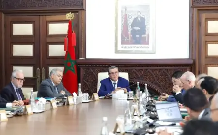 مجلس الحكومة يصادق على تعيينات جديدة في مناصب عليا