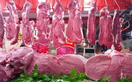 أسعار اللحوم الحمراء تواصل الارتفاع بالمغرب