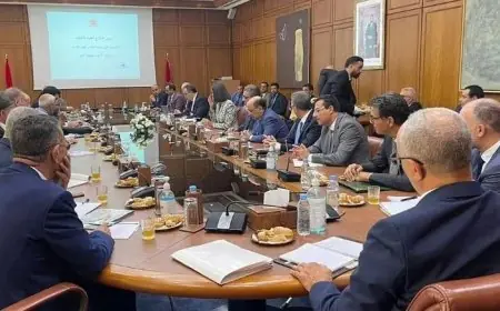اجتماع CNSS التشخيصي يفتح مرحلة حاسمة لإصلاح أنظمة التقاعد