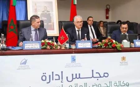 نزار بركة يترأس مجلس إدارة وكالة الحوض المائي لسوس ماسة ويستعرض مشاريع 2026