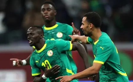 بعد احتجاج منتخب السنغال.. وزارة الخارجية السنغالية تصدر توصيات إلى اللاعبين والمشجعين