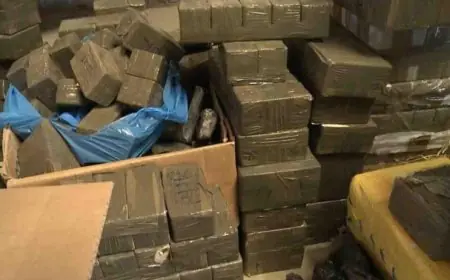 حجز أزيد من أربعة ملايين قرص مخدر بالمغرب خلال ثلاث سنوات