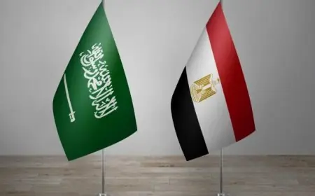 تحركات مصرية-سعودية-صومالية لتأسيس تحالف أمني لمواجهة النفوذ الإسرائيلي