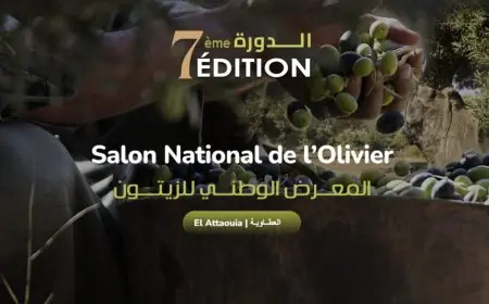 لوسيور كريسطال تعزز التزامها بسلسلة الزيتون من خلال مشاركتها في المعرض الوطني بالعطاوية