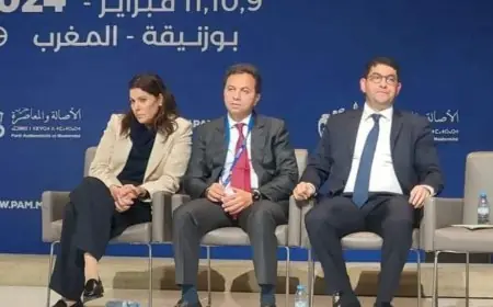 قبل الانتخابات.. البام يحسم اختيار وكلاء اللوائح