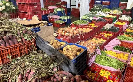 بإجراءات صارمة.. الداخلية تستعد لمواجهة شناقة الأسعار وضبط تموين الأسواق في شهر رمضان