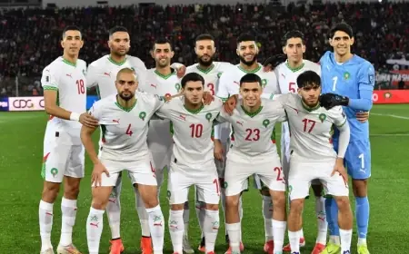 4 لاعبين مغاربة في التشكيلة المثالية لنهائيات كأس أمم إفريقيا