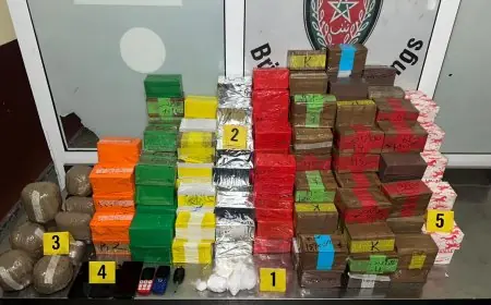 حيازة المخدرات يقود شخصين إلى الإيقاف بأكادير