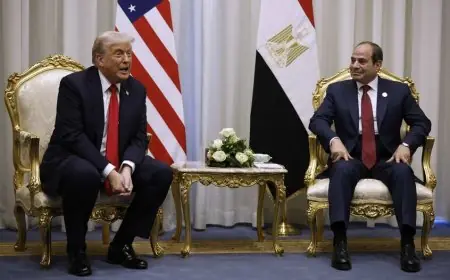 بدعوة من ترامب.. مصر والسعودية وقطر تعلن قبولها الانضمام إلى “مجلس السلام”