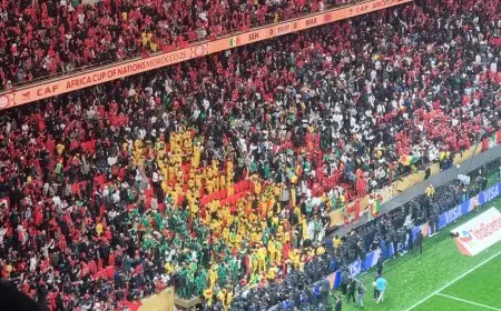 متابعة جزائري وسنغاليين في حالة اعتقال بعد شغب نهائي كأس إفريقيا