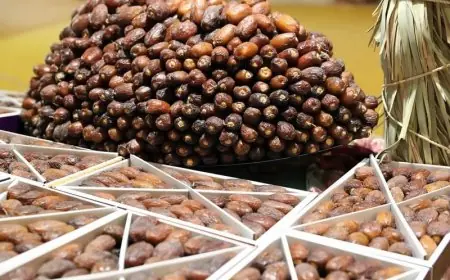 بعد سقوط أمطار الخير.. وفرة التمور تخفض الأسعار في الأسواق المغربية مع اقتراب رمضان