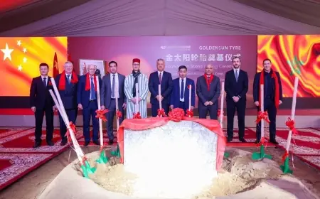 المغرب يطلق أكبر مصنع لإطارات السيارات بإفريقيا في الدريوش