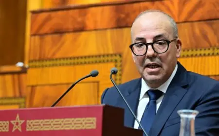 ارتفاع أسعار الأسمدة الفلاحية بالمغرب يسائل الوزير أحمد البواري