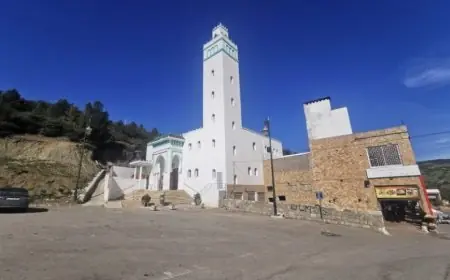 وزير الأوقاف: إغلاق 1458 مسجدا من أجل التأهيل لضمان سلامة المصلين