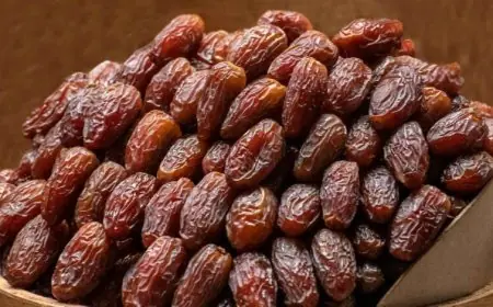 المغرب يدعم الإنتاج المحلي للتمور ويقلص الواردات الأجنبية