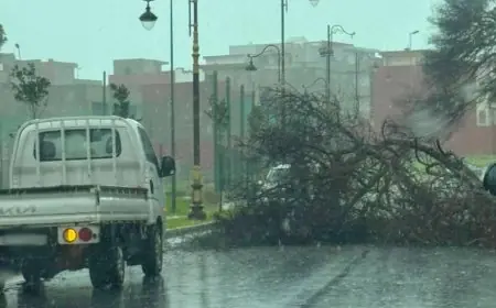 رياح عاتية وأمطار غزيرة تعيق حركة السير في مدن شمال المغرب