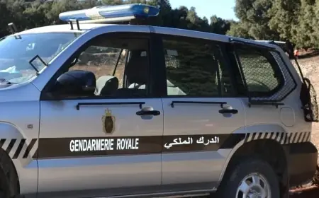 بعد سرقة وكالات لتحويل الأموال.. الدرك يطيح بأربعة مشتبه فيهم باشتوكة آيت باها