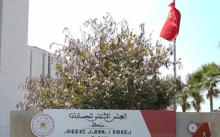 المجلس الأعلى للحسابات يضبط أكثر من 4900 موظف لم يصرحوا ممتلكاتهم
