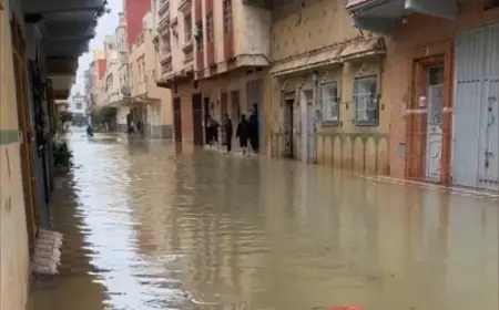 وزارة النقل تعقد اجتماعا عاجلا لتأمين حركة النقل في ظل فيضانات القصر الكبير