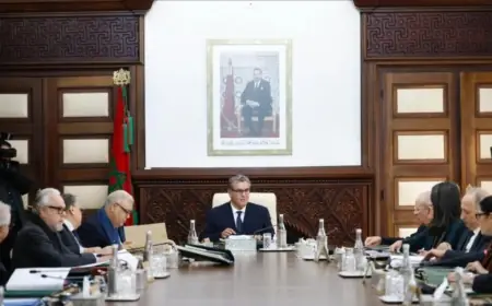 مجلس الحكومة يصادق على تعديل الخريطة القضائية