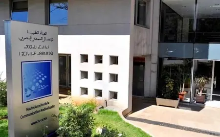 الهاكا تحذر من مفردات ومصطلحات ذات دلالة لغوية تمييزية نمطية في التلفزيون والإذاعات