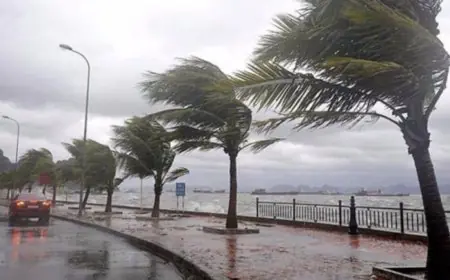 نشرة إنذارية.. أمطار قوية ورياح عاصفية بعدد من مناطق المغرب