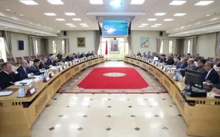 اللجنة الوطنية لليقظة تثمن التعليمات الملكية وتتخذ تدابير عاجلة لدعم سكان القصر الكبير