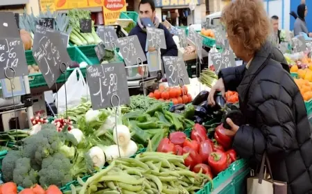 Le Maroc, pilier émergent de la sécurité alimentaire européenne face aux chocs climatiques
