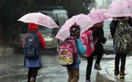 بسبب التقلبات الجوية.. مديرية التعليم بالحسيمة تفوض لمديري المؤسسات صلاحية تعليق الدراسة