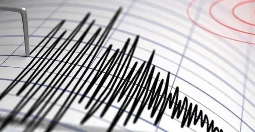 زلزال بقوة 6.5 درجات يهز جنوب ووسط المكسيك دون تسجيل خسائر بشرية