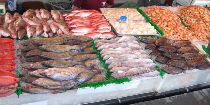 استمرار ارتفاع أسعار الأسماك بالأسواق يسائل الوزيرة زكية الدريوش