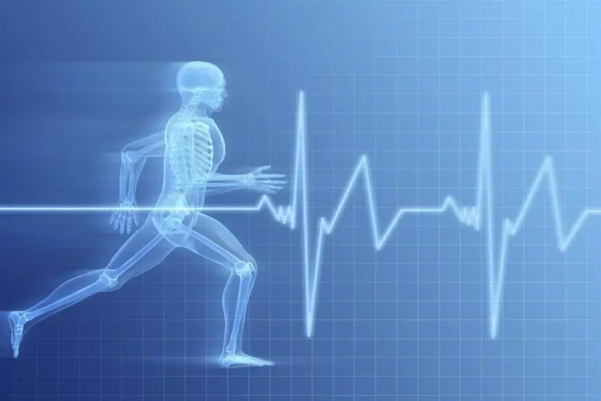دراسة: الجسم لا يعوض الطاقة المفقودة عند الحركة