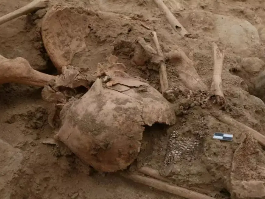 العثور على رفات بشرية مفقودة منذ أشهر في منطقة جبلية بالحسيمة