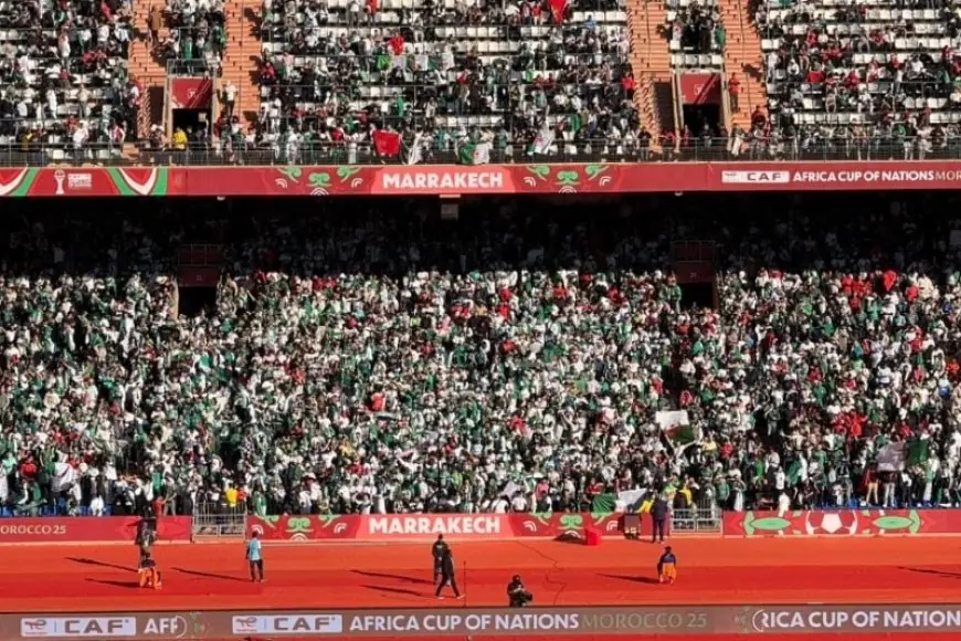 الكاف يفتح تحقيقًا بعد فوضى مباراة نيجيريا والجزائر في ربع نهائي "الكان"