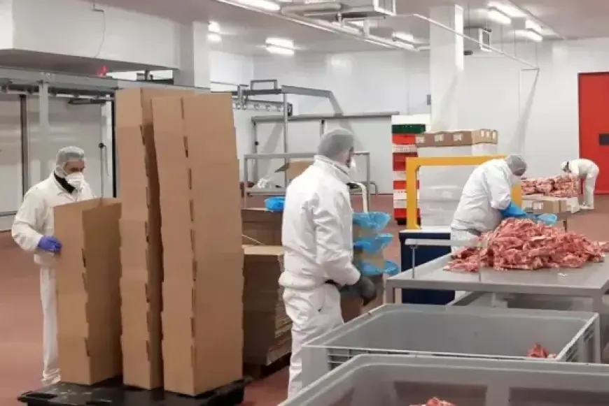 شركة "Hola food" الإسبانية تحصل على ترخيص لتصدير منتجاتها من اللحوم إلى المغرب