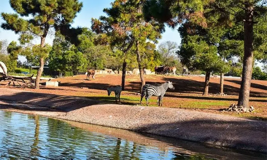 حديقة الحيوانات الوطنية بالرباط تحتفي بـ14 سنة من الالتزام بحماية التنوع البيولوجي الإفريقي