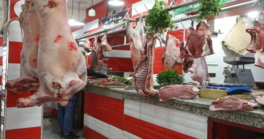 أسعار اللحوم الحمراء تواصل الارتفاع بالمغرب وتتجاوز 180 درهماً للكيلوغرام