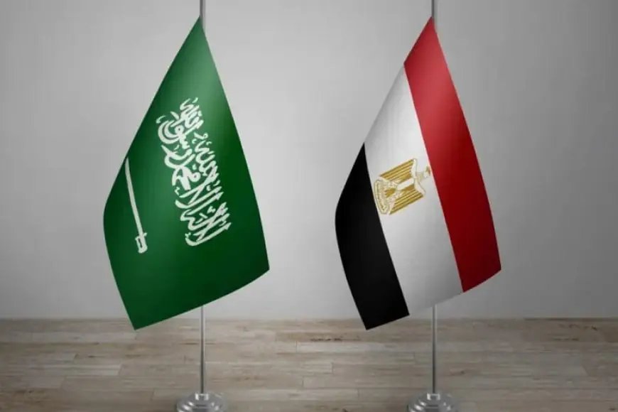 تحركات مصرية-سعودية-صومالية لتأسيس تحالف أمني لمواجهة النفوذ الإسرائيلي