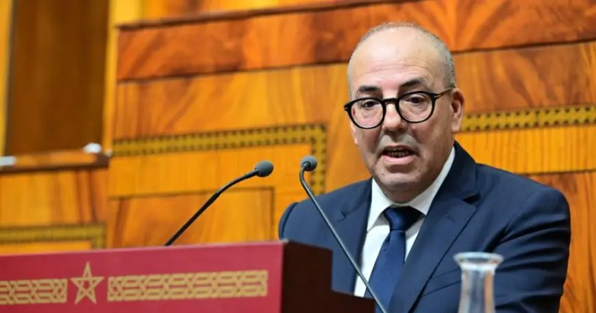 ارتفاع أسعار الأسمدة الفلاحية بالمغرب يسائل الوزير أحمد البواري