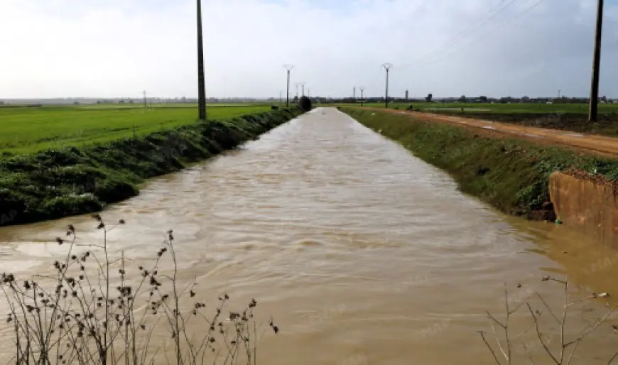 Bassin du Loukkos : des pluies bénéfiques pour les cultures et une mobilisation continue pour l’évacuation des eaux excédentaires