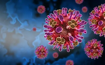 Virus Nipah alerte sanitaire régionale après la détection de cas en Inde