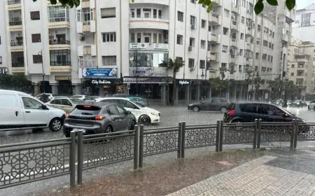 طنجة تتصدر مقاييس التساقطات المطرية بـ 92 ملم خلال الـ 24 ساعة الماضية