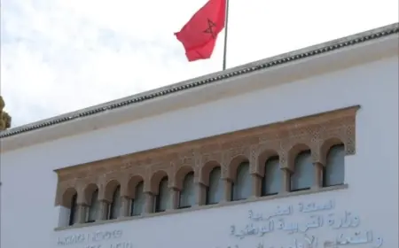وزارة التربية الوطنية تعتمد منصة TelmidTICE لضمان استمرارية الدراسة بالمؤسسات المتوقفة بسبب النشرات الإنذارية