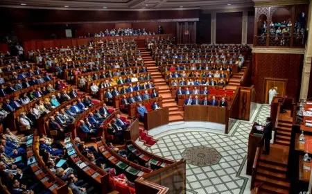 مجلس المستشارين يصادق على إحداث "الوكالة الوطنية لحماية الطفولة"