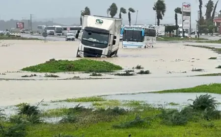السيول تقطع محاور طرقية حيوية بجهة الشمال.. و"واد سيفلاو" يحاصر حركة السير