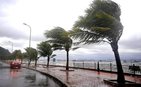 مديرية الأرصاد الجوية تكشف استمرار الأمطار الغزيرة في مناطق شمال المملكة بسبب المنخفض الجوي ليوناردو