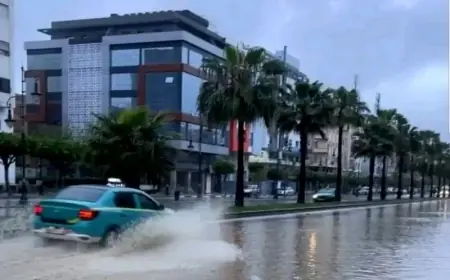 طنجة تتصدر مقاييس الأمطار المسجلة بالمملكة خلال الـ 24 ساعة الماضية
