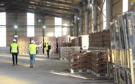 Hausse soutenue des livraisons de ciment au Maroc à fin janvier 2025